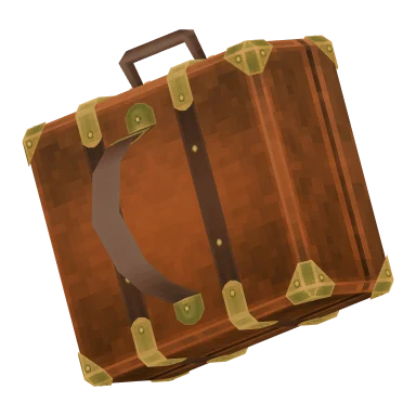 Travel Bag