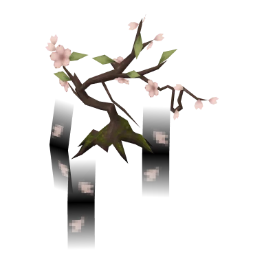 Sakura Bonsai