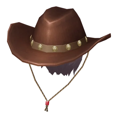 Cowboy Hat