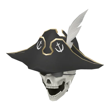 Pirate Skull Hat