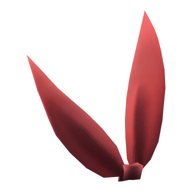 Pretty Ribbon R