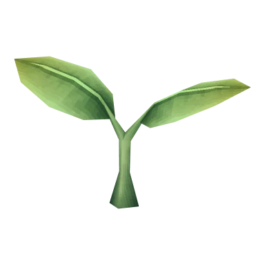 Photosynthesis System