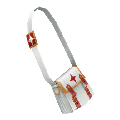 Medical Bag
