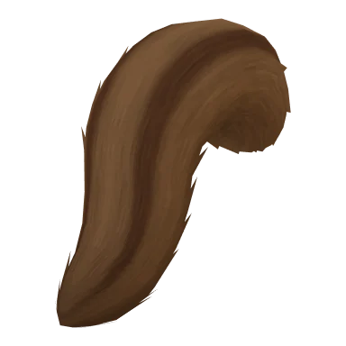 Squirrel Tail