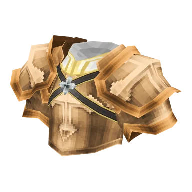 Holy Knight Vest