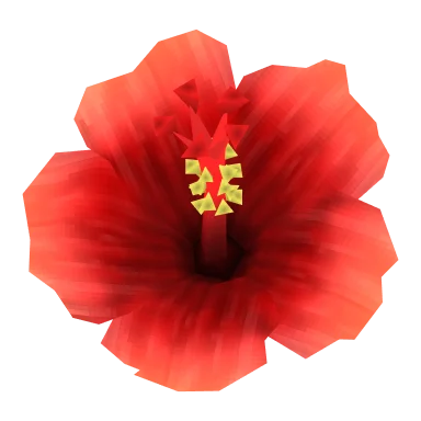 Hibiscus
