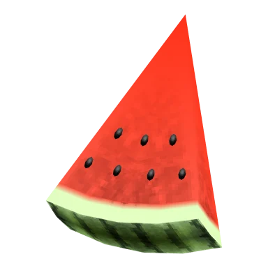 Watermelon Slice