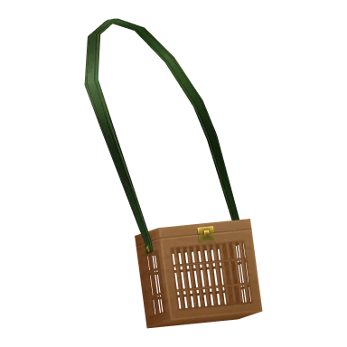 Insect Cage