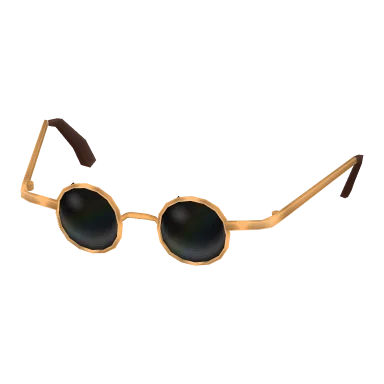 Round Sunglasses