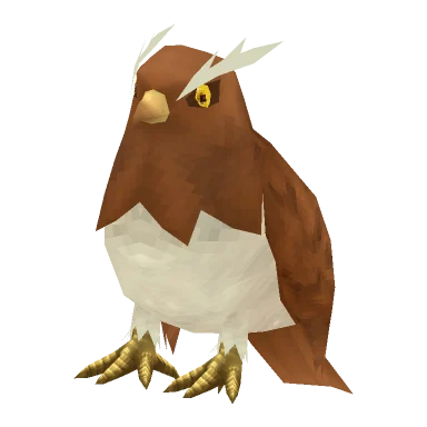 Hawk on Shoulder